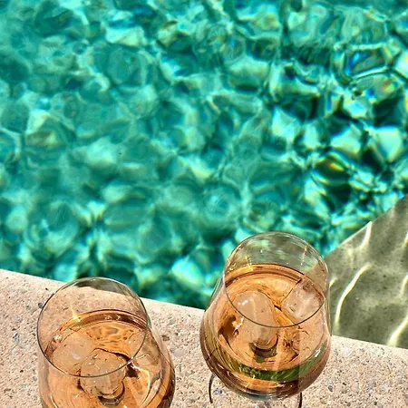 Fantastic In The Bay Of Cannes, 5 Minutes From The - With Private Pool Villa *